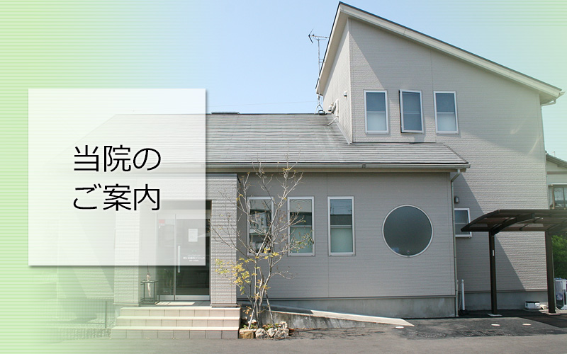 当院のご案内