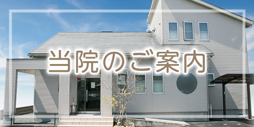 当院のご案内