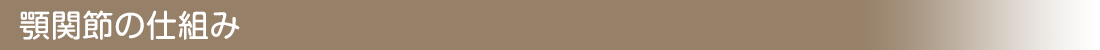 顎関節の仕組み