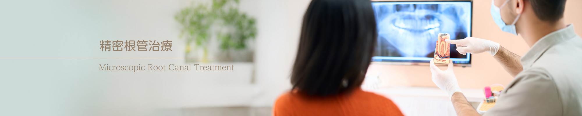 精密根管治療