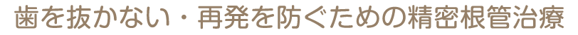 歯を抜かない・再発を防ぐための精密根管治療